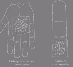 Использование внутренних лекарственных свойств растений для су-джок семянотерапии