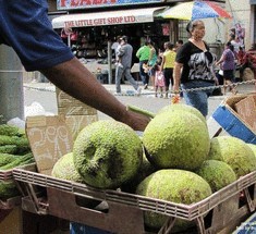Плоды хлебного дерева: ещё один суперпродукт, который положит конец голоду в мире?