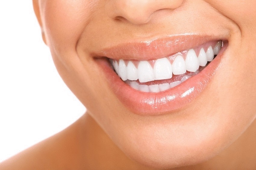 Люди смогут выращивать себе новые зубы многократно