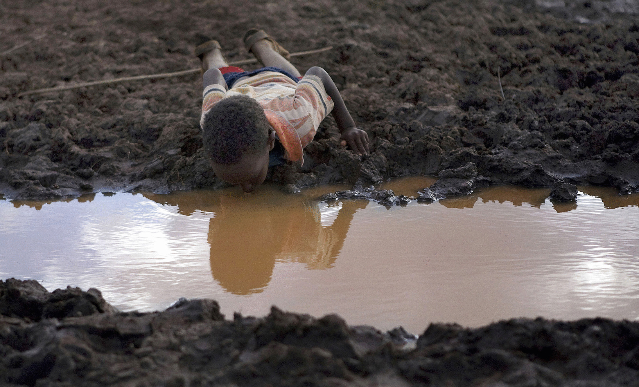 Вода из грязной лужи. Нехватка воды. Загрязнение воды в Африке.