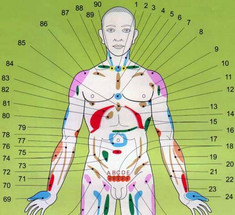 Проекционные зоны внутренних органов на теле человека по Огулову - узнайте себя лучше!