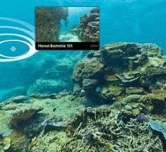 Учёные и Google начали панорамную съёмку Кораллового моря
