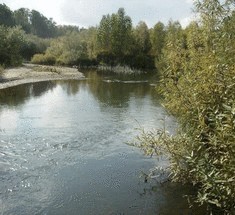 Признаки водоема, в котором опасно купаться