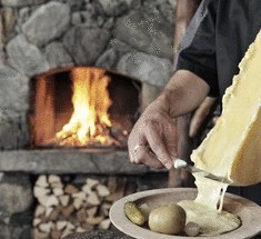 Какой сыр вреден для здоровья?