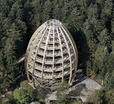 Уникальная смотровая площадка на самой длинной в мире аллее  