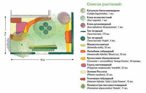 Один сад — две идеи: цветник без хлопот и живые изгороди