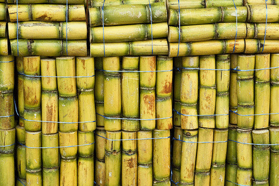 Туалетная бумага из бамбука – спасение для леса
