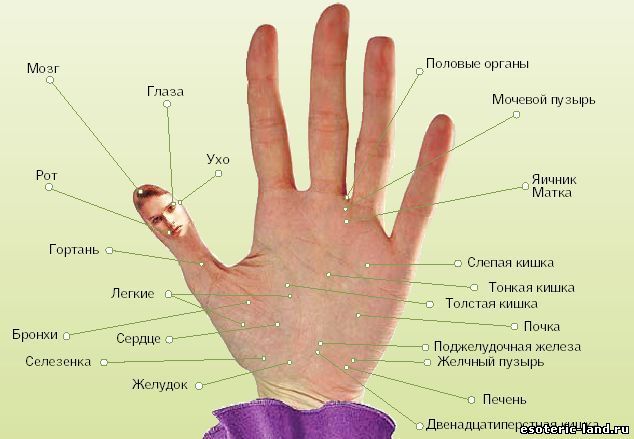 От головной боли, напряжения, тревожности и стрессов – массаж пальцев