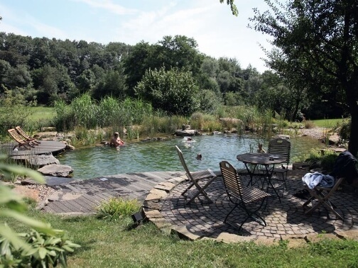 Плавательный пруд — экологический бассейн в вашем саду