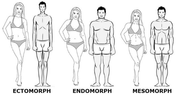 Программы тренировок для каждого типа телосложения