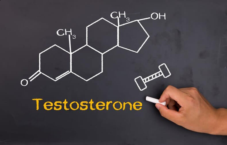 Тестостерон — что необходимо знать