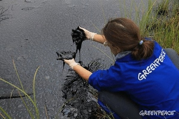 Гринпис отправится убирать нефть в Коми