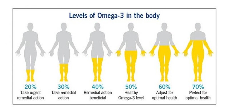 Сколько омега-3 вам нужно и из каких источников