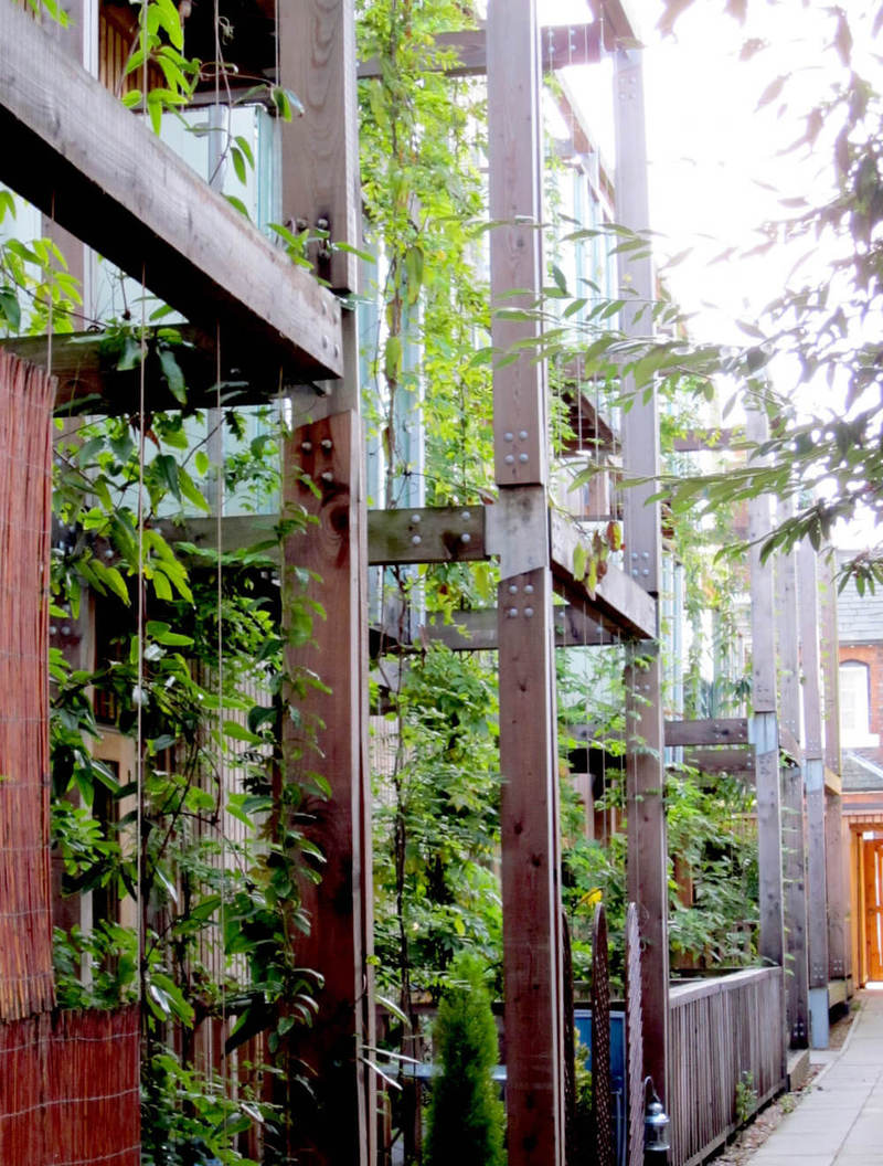 Дом, как сад: система вертикального озеленения
