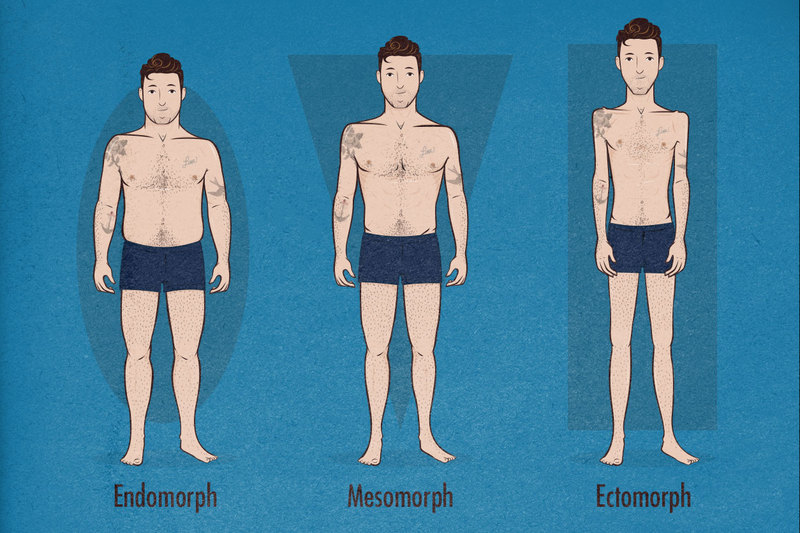 Типы телосложения: особенности тренировок 