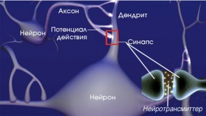 Как блоки в теле влияют на вашу жизнь и судьбу