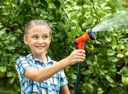 Как правильно поливать деревья от саженца и до взрослого дерева