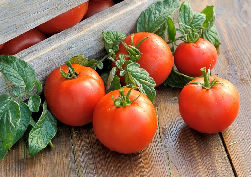 Как правильно пасынковать и прищипывать помидоры