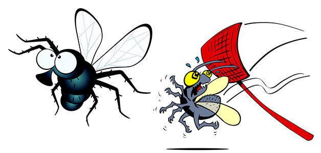Это средство заставит покинуть ваш дом мух, комаров и тараканов!
