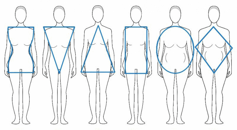 Типы телосложения. Соотношение роста и веса