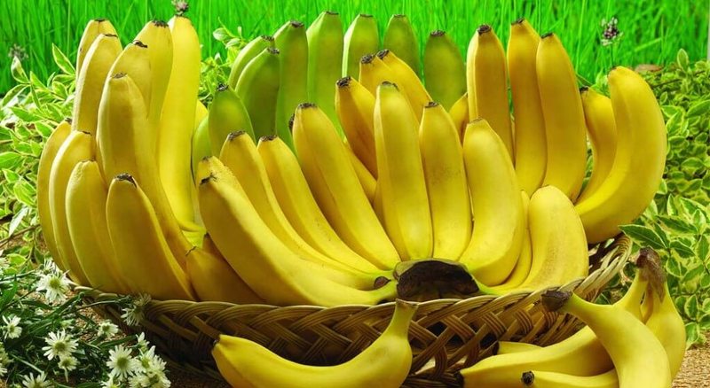 Бананы: аюрведические характеристики и рецепты