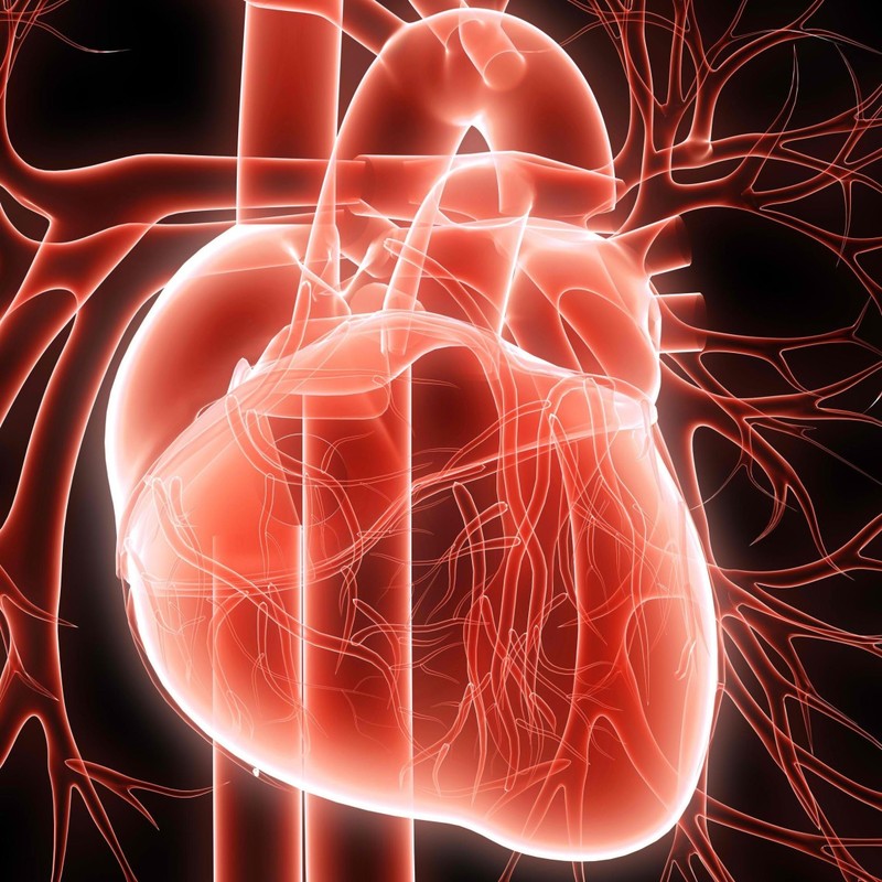 4 симптома остановки сердца, которые встречаются только у женщин