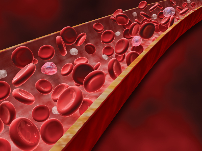Густая кровь: советы фитотерапевтов