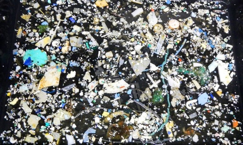 Большое Тихоокеанское мусорное пятно растет с экспоненциальной скоростью