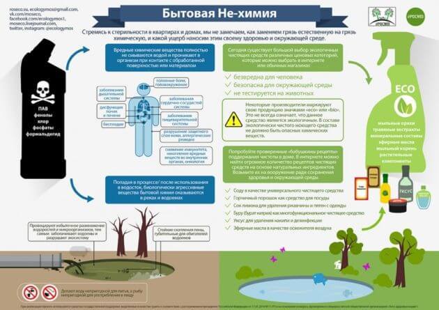 Как сделать МИР ЛУЧШЕ, начав с себя: 10 эко-привычек