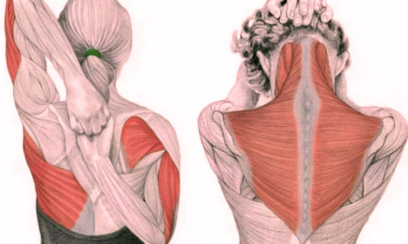 СТРЕТЧИНГ: упражнения для спины, шеи и рук