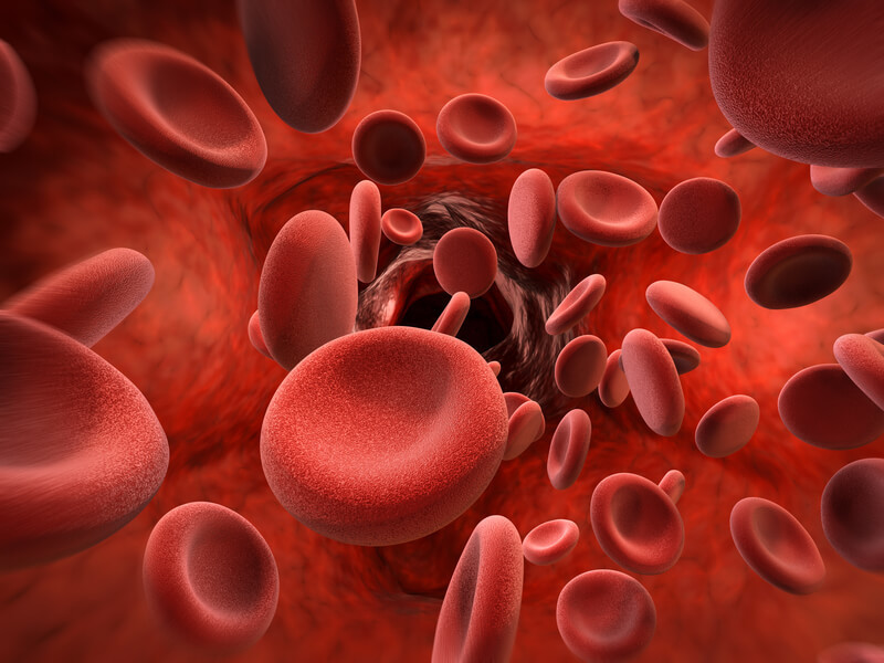 Густая кровь: как уменьшить вязкость 