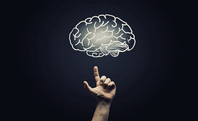 Знание этих 5 фактов о мозге изменит вашу жизнь!