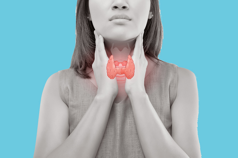 Как понять, что ваша щитовидка на пределе или слишком ленива
