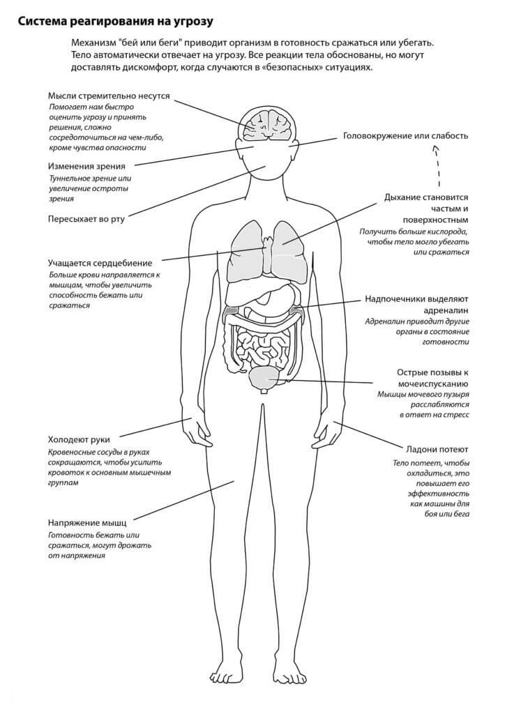 Панические атаки: Телесные симптомы и триггеры приступа 