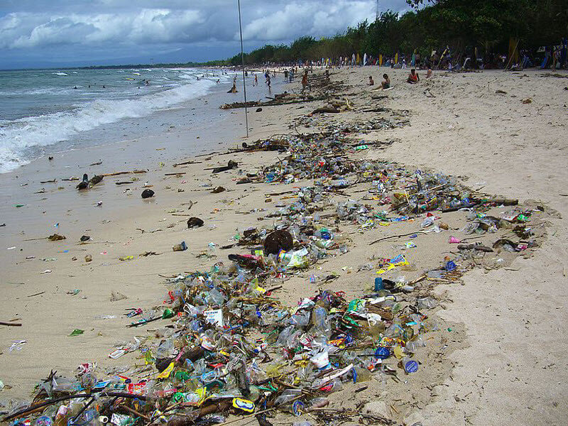 Количество мусора на планете может увеличиться к 2050 году на 70%
