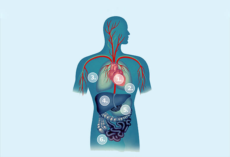 Упражнения «6 иероглифов» для оздоровления ВСЕХ органов нашего организма