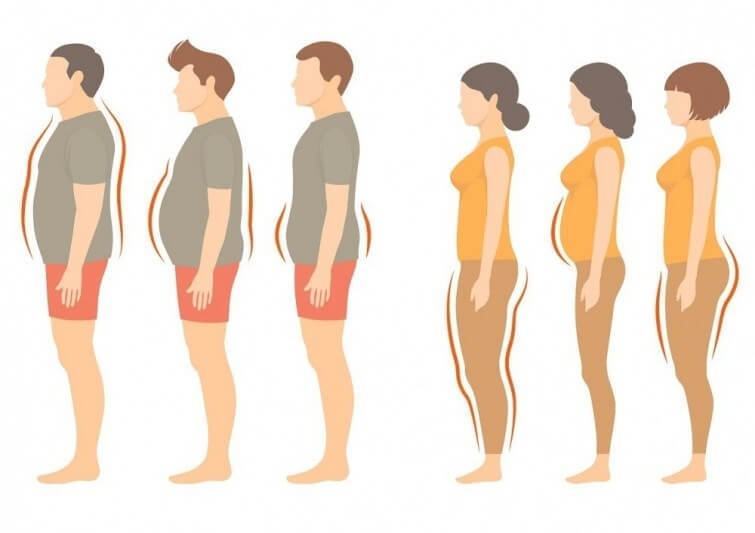 Базовый обмен веществ и вес вашего тела: Что нужно знать