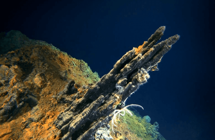 Ученые обнаружили на дне океана экосистему с неизвестными науке организмами