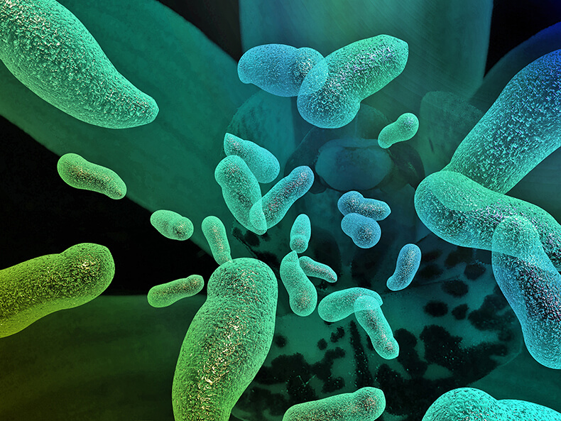 7 способов детоксикации с помощью пробиотиков