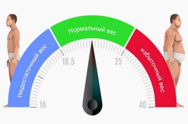 Почему ИМТ – не самый лучший показатель конституции тела