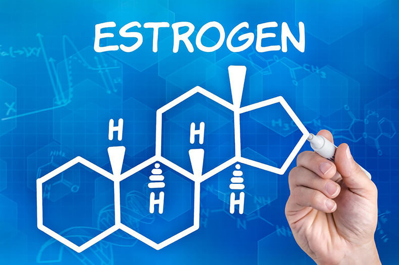 Что такое избыток эстрогенов в организме понятным языком