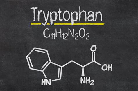 Триптофан: 5 полезных свойств 