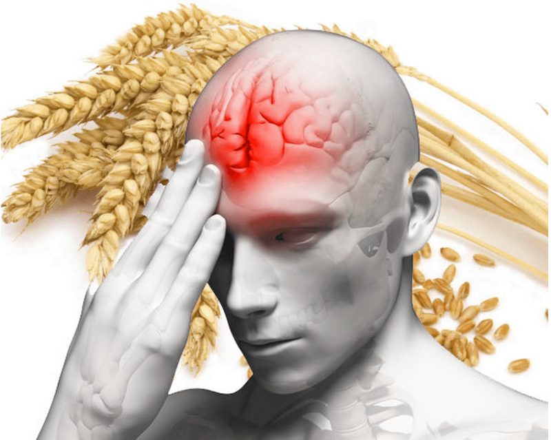 ЛИПКИЙ БЕЛОК: Как зерно наносит вред мозгу