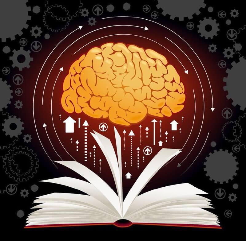 Что чтение делает с нашим мозгом