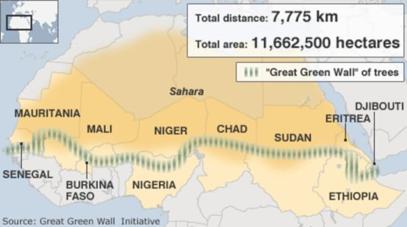 20 африканских стран создают «Великую зеленую стену» для защиты Сахары