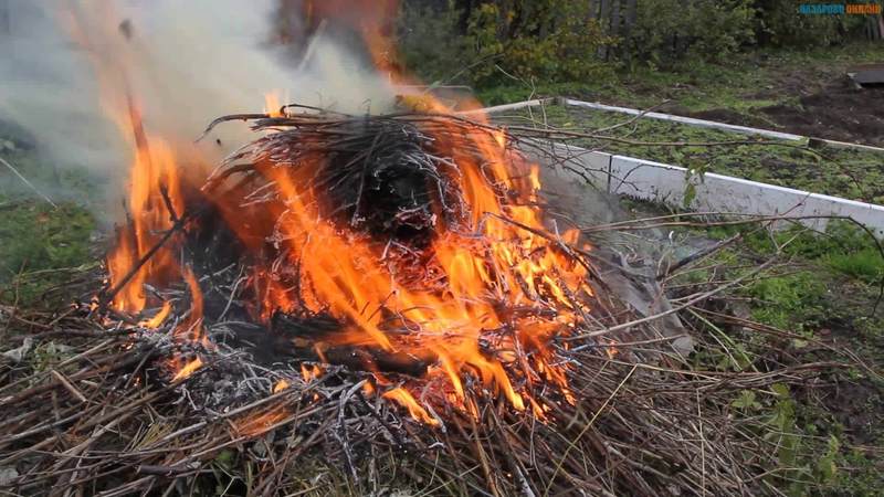 Как сжигать мусор на даче в 2019 году по закону и без штрафных санкций