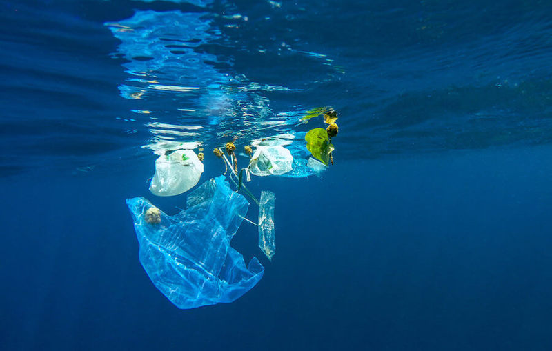Загрязнение пластиком вредит бактериям, помогающим производить кислород, которым мы дышим