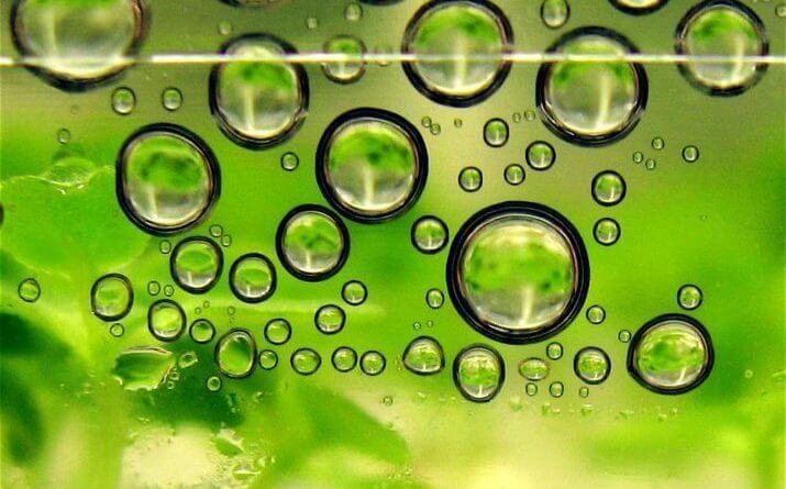 Создан самый эффективный в мире метод выпуска биотоплива