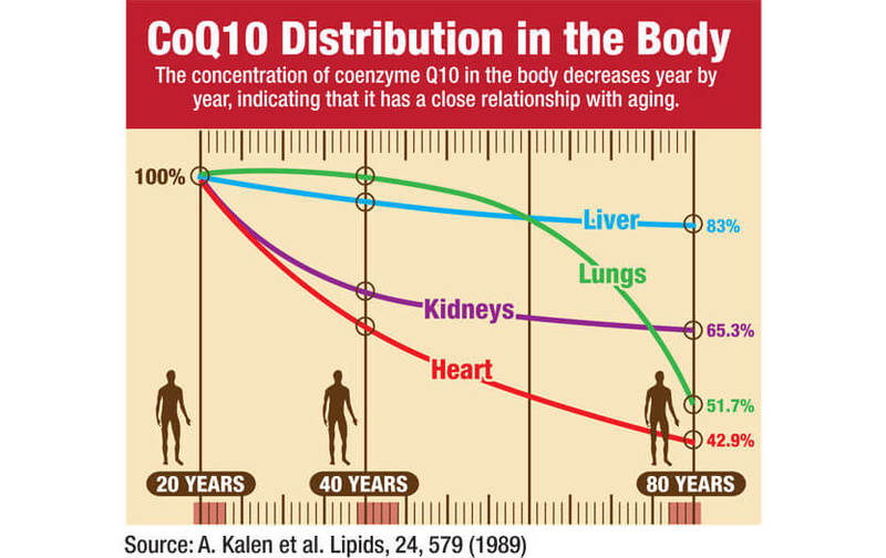 Коэнзим Q10: 22 полезных свойства и дозировки приема