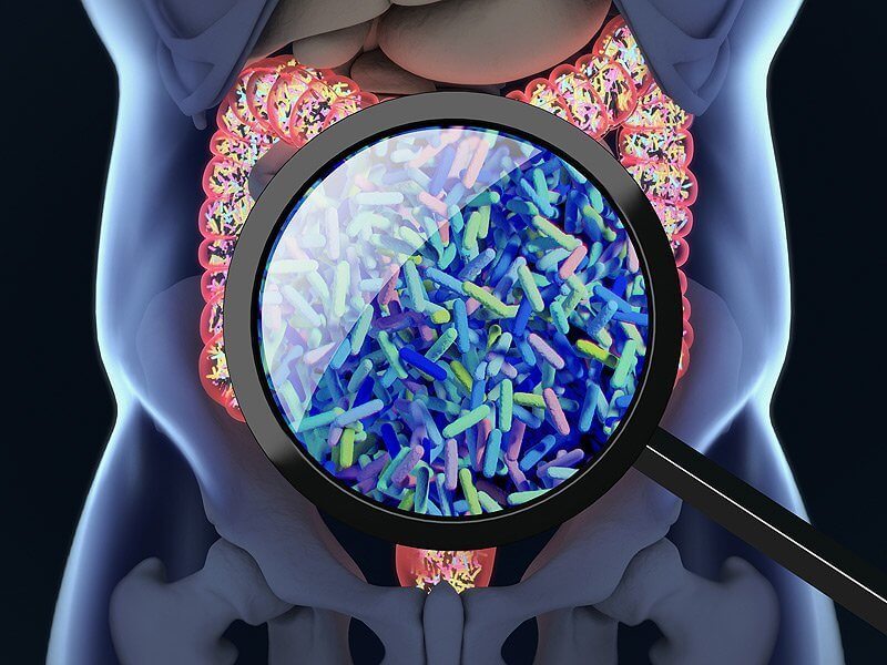 Микрофлора кишечника и КЛЕТЧАТКА: Новый способ предотвратить дислипидемию